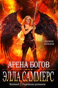 Обложка книги Арена богов