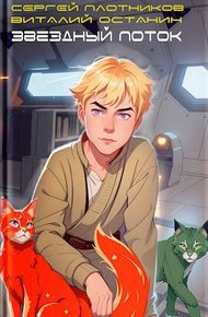 Обложка книги Звездный поток. Юнга
