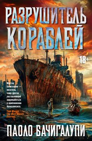 Обложка книги Разрушитель кораблей