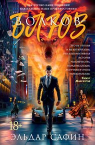 Обложка книги Волков-блюз