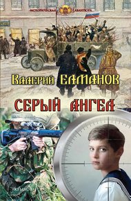 Обложка книги Серый ангел