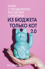 Обложка книги Из бюджета только кот 2.0