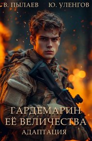 Обложка книги Адаптация