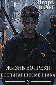 Обложка книги Воспитанник мечника