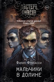 Обложка книги Мальчики в долине