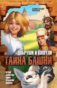 Обложка книги Добруши и Кошули. Тайна башни