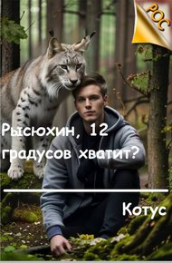 Обложка книги Рысюхин, 12 градусов хватит?