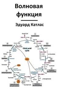 Обложка книги Волновая функция