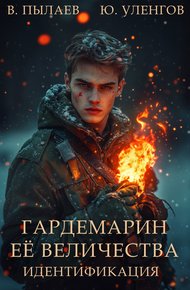 Обложка книги Идентификация