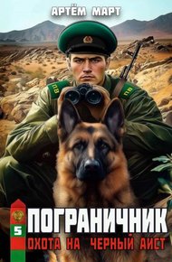 Обложка книги Охота на «Черный аист»