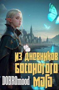 Обложка книги Из дневников Босоногого мага