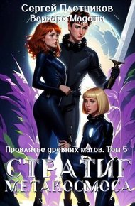 Обложка книги Стратиг метакосмоса