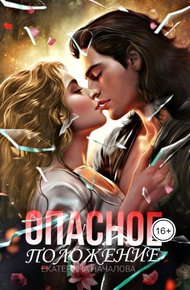 Обложка книги Опасное положение