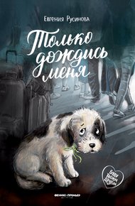 Обложка книги Только дождись меня