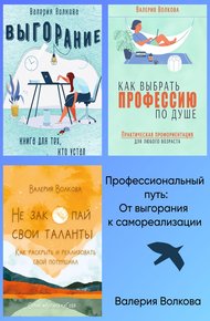 Обложка книги Профессиональный путь: от выгорания к самореализации. Сборник