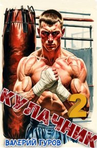 Обложка книги Кулачник 2