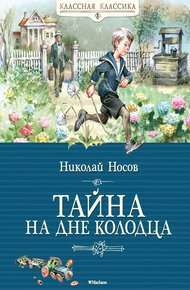 Обложка книги Тайна на дне колодца