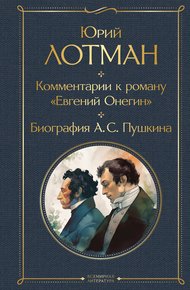Обложка книги Комментарии к роману «Евгений Онегин». Биография А. С. Пушкина