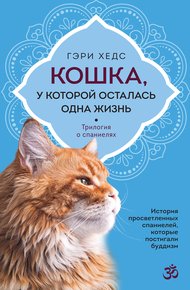 Обложка книги Кошка, у которой осталась одна жизнь