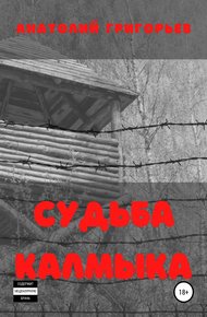 Обложка книги Судьба калмыка