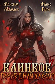 Обложка книги Клинков. Последний хаосит 5