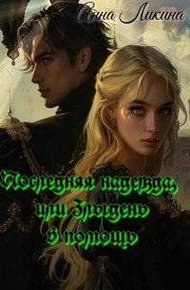 Обложка книги Последняя надежда, или Злыдень в помощь