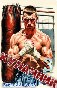 Обложка книги Кулачник 3