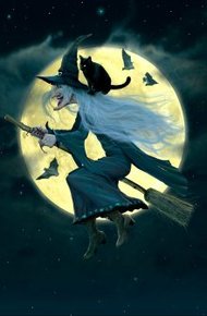 Обложка книги Маленькая радость ведьмы