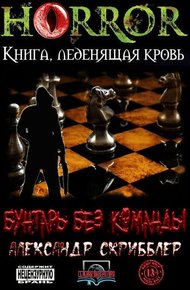 Обложка книги Бунтарь без команды